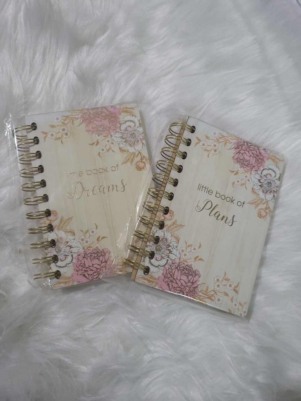Tickled Pink Set of 2 Notebooks Dreams & Plans 4x6" 120 Pages Lined